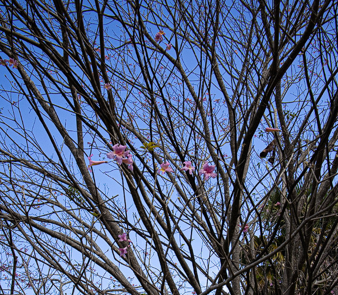 Photography